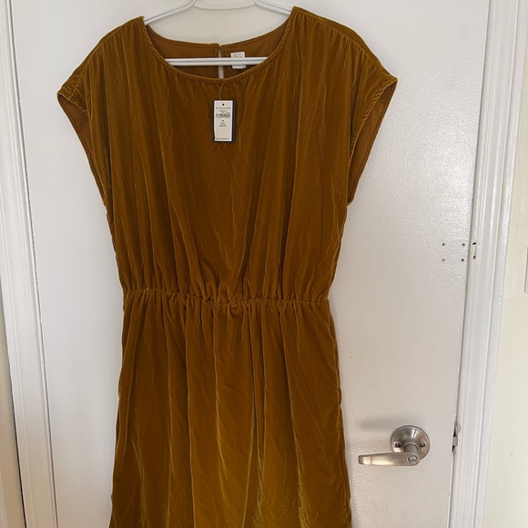 NWT Gap Velvet dress - Picture 3 of 3